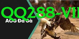 Trường Đấu Đá Gà Chuyên Nghiệp - Game mô phỏng