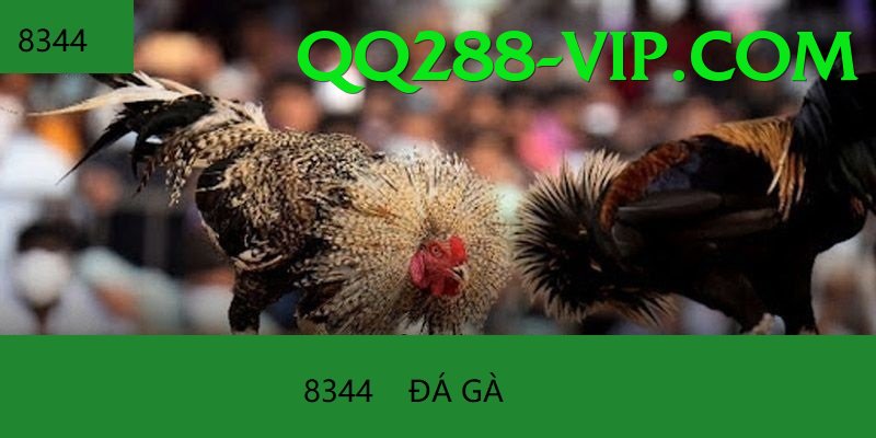 Đá Gà Trực Tiếp - qq288 - Game sinh tồn